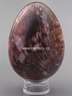 petrified wood, egg