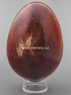 petrified wood, egg