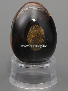 tiger eye, egg