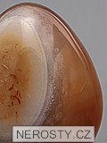 carnelian, egg