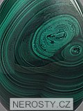 malachite, egg