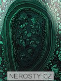 malachite, egg