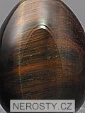 tiger eye, egg