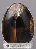 tiger eye, egg