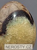 septaria, egg