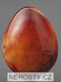 carnelian, egg