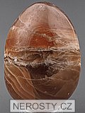 aragonite, egg