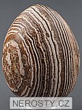 aragonite, egg