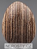 aragonite, egg