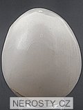 aragonite, egg