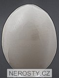 aragonite, egg