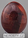 carnelian, egg